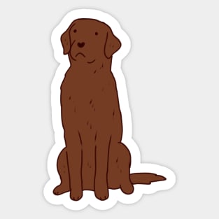 Copy of Brown Labrador drawing Sticker